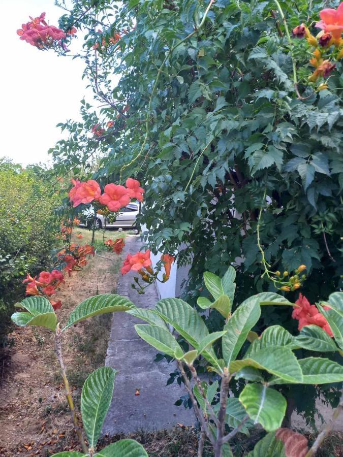 Хостел Traveler'S Rest - Near Podgorica Airport Mitrovici  Екстер'єр фото